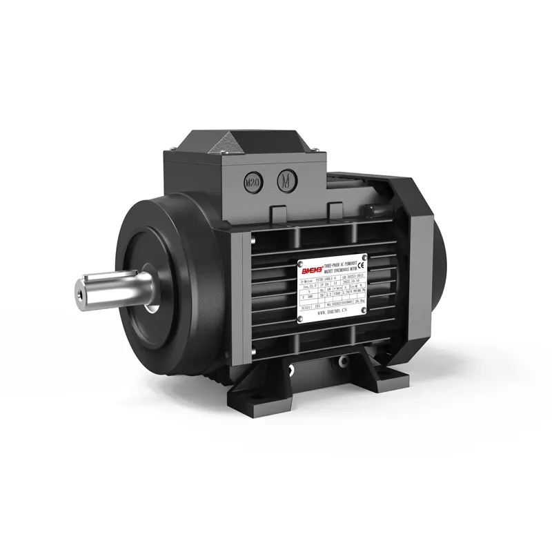 What are the main advantages of TYTB Permanent Magnet Synchronous Motors?
