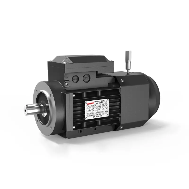 TYTBVF Permanent Magnetic Synchronous Variable-Frequency Motor