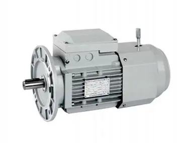 YEJ Series DC Brake Motor